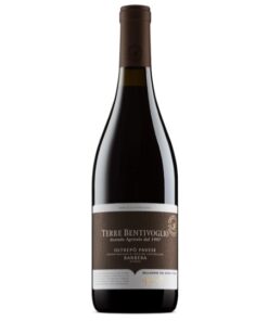 TERRE BENTIVOGLIO BARBERA 2021